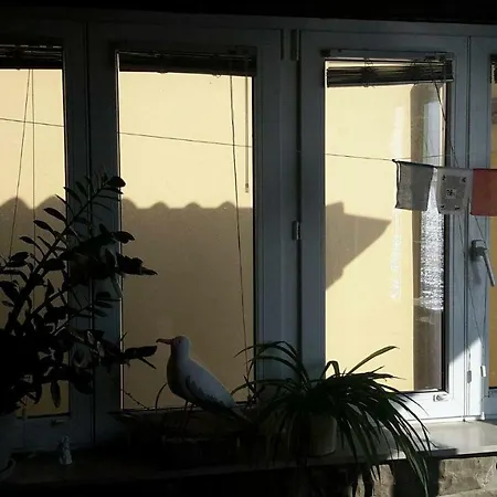 Апартаменты Punta Nana Mira *